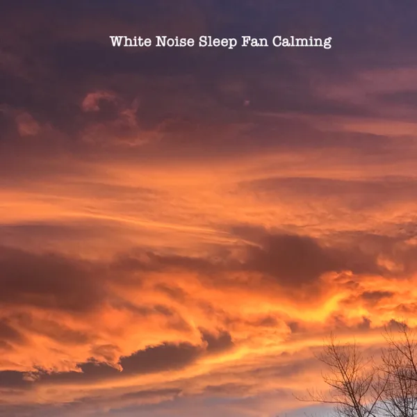 White Noise Sleep Fan Loopable — Fan Noise, Fan Noises & Fan Sounds