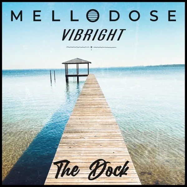 You Don't Know How It Feels — Mellodose, Dale and the ZDubs & Vibright